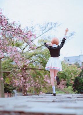 五月花在线观看_1080迅雷电影在线